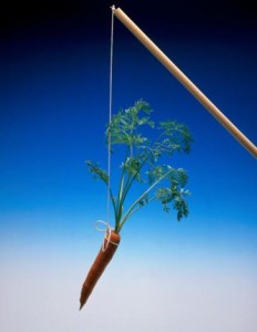 wpid-thumbnail-bc8340ac3115e56fb42957431140aaeb